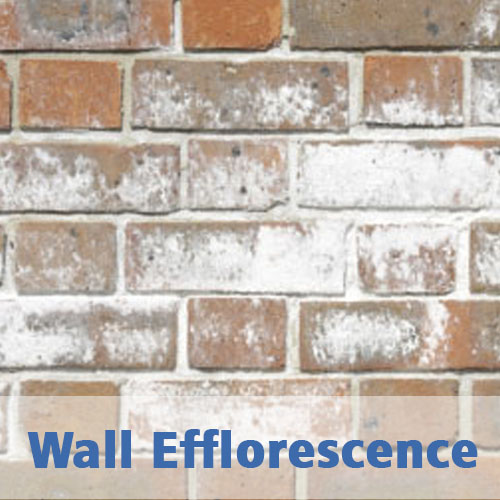 wall efflorescence